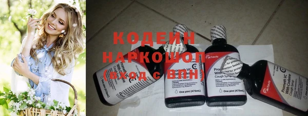 дживик Богородицк