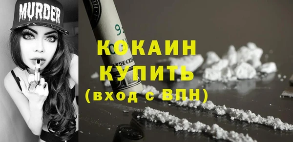 дживик Богородицк