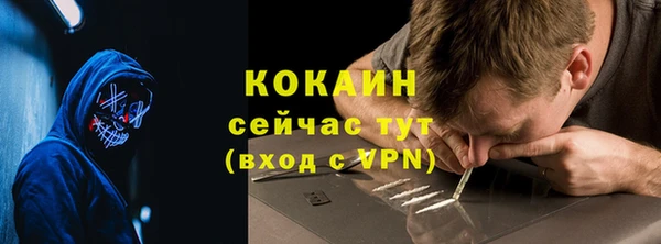 дживик Богородицк