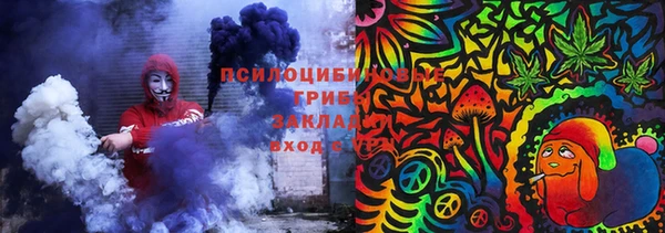 a pvp Богданович