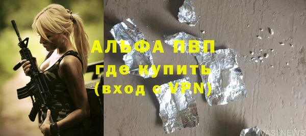 дживик Богородицк